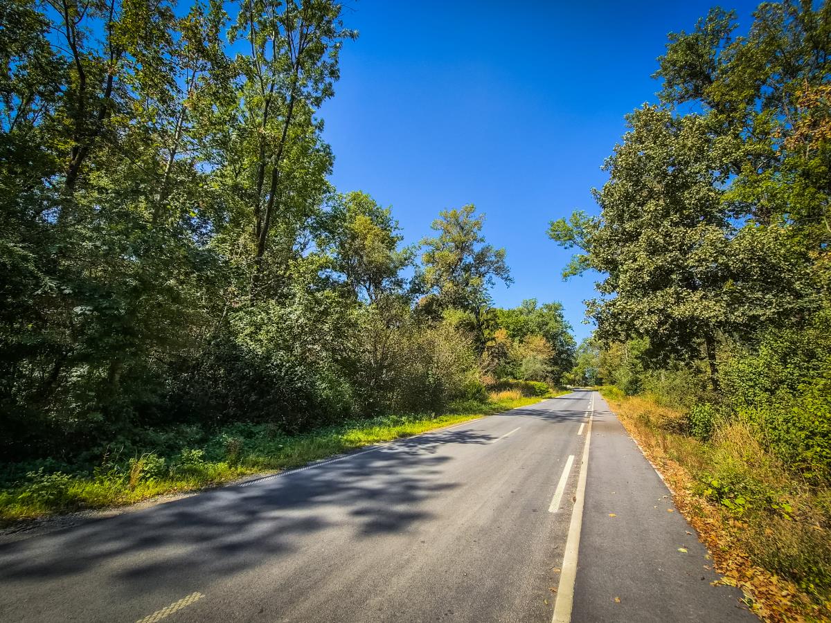 Preloška cesta